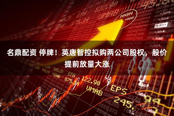 名鼎配资 停牌!英唐智控拟购两公司股权,股价提前放量大涨