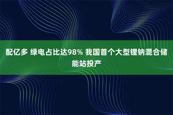 配亿多 绿电占比达98% 我国首个大型锂钠混合储能站投产