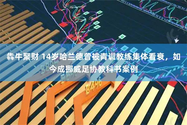 犇牛聚财 14岁哈兰德曾被青训教练集体看衰,如今成挪威足协教科书案例